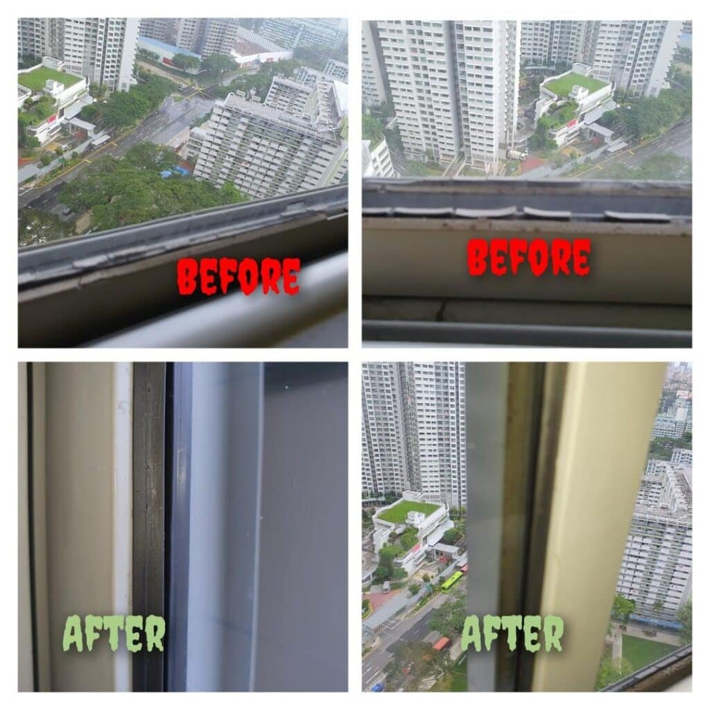 window repair